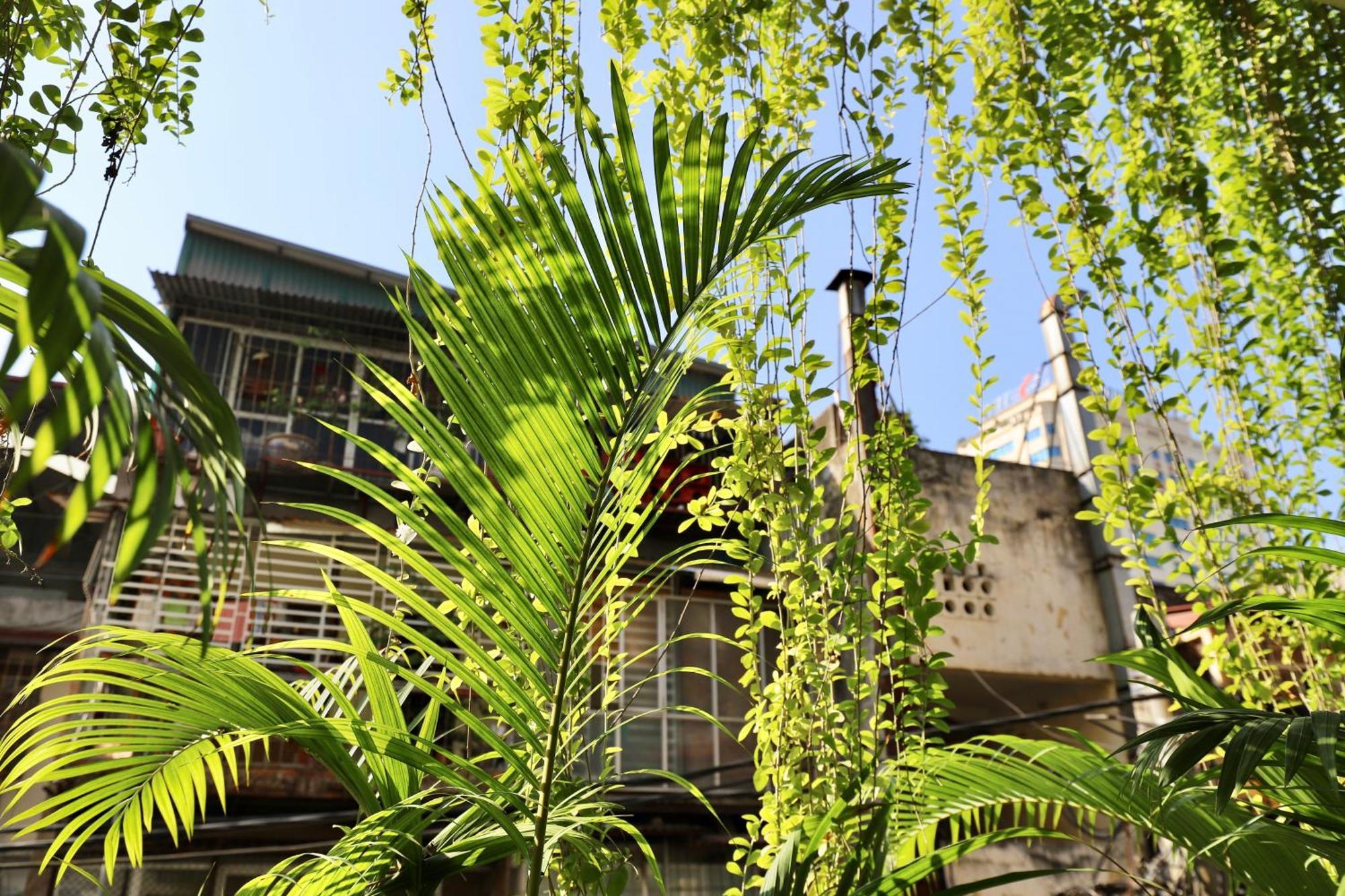 The Garden House Διαμέρισμα Ανόι Εξωτερικό φωτογραφία