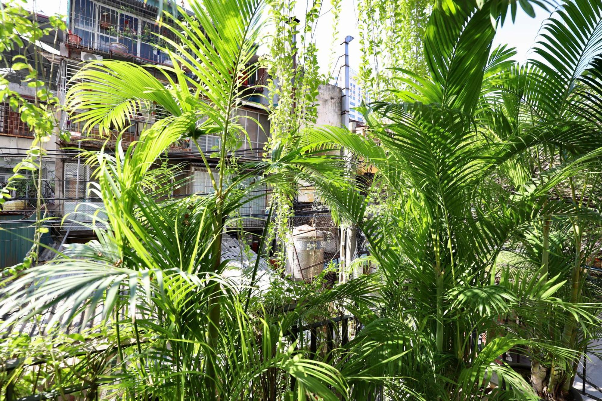 The Garden House Διαμέρισμα Ανόι Εξωτερικό φωτογραφία